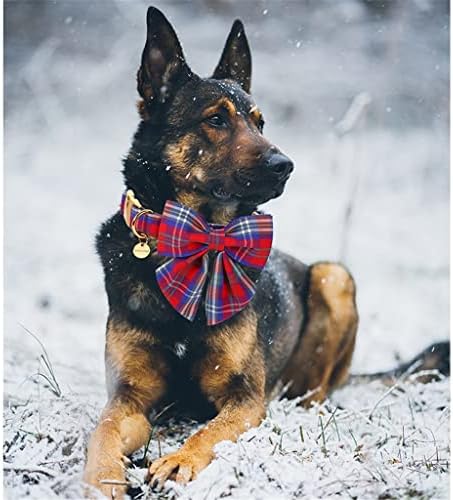 צווארון כלבי כותנה לחג המולד של פלויינם עם צווארון גורים משובץ אדום וכחול