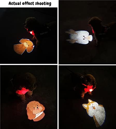 LZLRUN אורות מקרן PET PET בהתאמה אישית של LZLRUN להליכת לילה, אור השלכה חברתי בהתאמה אישית, קישוטי צווארון