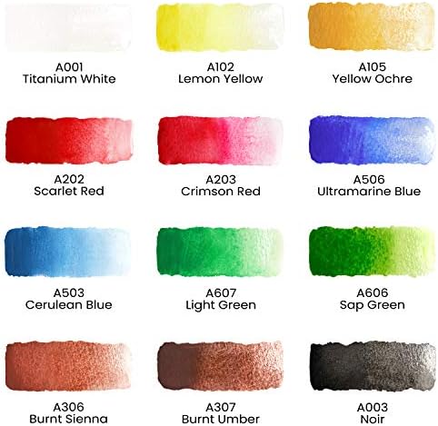 צבע צבעי מים ארטזה, סט של 12 צבעים/צינורות ונייר צבעי מים ארטזה 9x12 אינץ