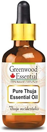 Greenwood Essential Thuja שמן אתרי עם טפטפת זכוכית אדים טבעיים כיתה טבעית מזוקקת 100 מל
