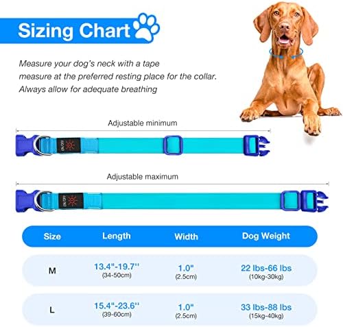 צווארוני כלבים מדליקים, צווארון כלבים LED DLITK USB נטענת 1 ספירה, צווארון כלבים מואר בגודל מתכוונן, צווארון