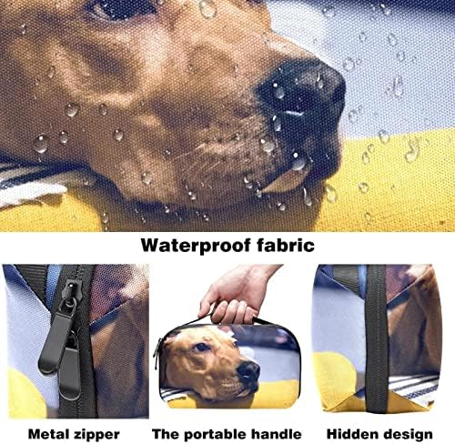 מוצרי טואלטיקה תיק תליית דופ ערכת לגברים מים עמיד גילוח תיק עבור נסיעות, חיות מחמד כלב בעלי החיים