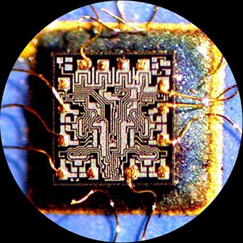 מיקרוסקופ זום סטריאו טרינוקולרי מקצועי דיגיטלי של אמסקופ-1-144 מטר, עיניות פי 10, הגדלה פי 7-45, מטרת