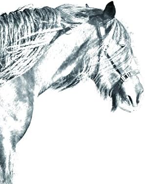 ארט דוג, מ.מ. סוס הפלך, מצבה סגלגלה מאריחי קרמיקה עם תמונה של סוס