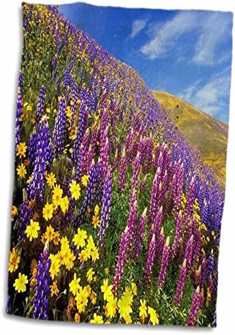 3drose קובצי גבעות קליפורניה מכוסים פרחי בר - מגבות