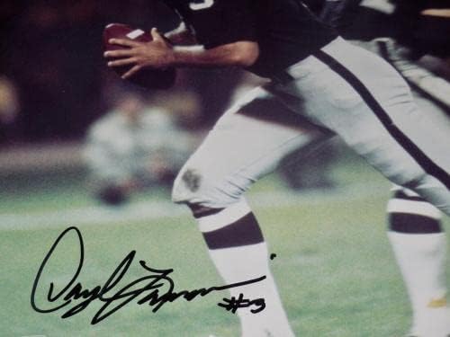 דריל למוניקה חתימה 8x10 צילום צבע - ריידרס! - תמונות NFL עם חתימה