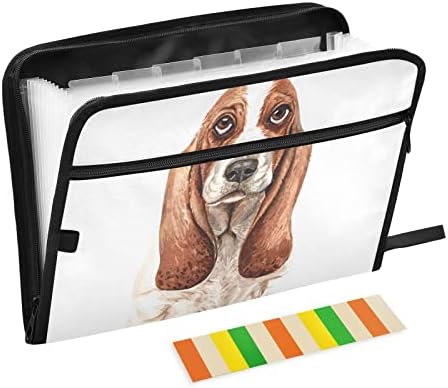 כלב אקוורל הדפסת אקורדיאן קובץ ארגונית 13 כיס הרחבת קובץ תיקיית עבור מסמכים עם תוויות & מגבר; צד כיס קובץ שומר