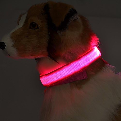 Ms.cleo LED צווארון כלבים עם USB נטען, בטיחות הליכה בלילה