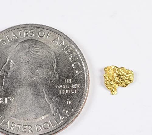 אלסקה-יוקון לפנה ס הבהלה לזהב טבעי זהב נאגט 0.28 גרם אמיתי