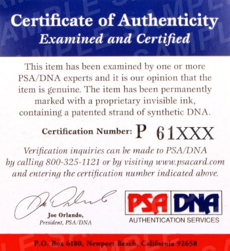 Tommy Dreamer חתום על אליפות ECW לילדים חגורת כותרת PSA/DNA COA WWE Autograpth - גלימות היאבקות חתימה, גזעים