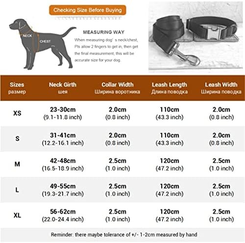 צווארון כלבים גנרי חרוט מזהה צווארון לחיות מחמד בהתאמה אישית עם רצועה עבור צ'יוואווה ילד כלב טורקיז