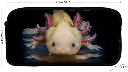 Anxolotl Animal Awan