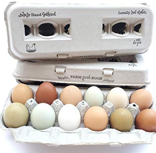 פרולין 25 קרטוני ביצים - עיצוב וינטג ' עם מרכז ריק לחותמת המותאמת אישית שלך במחיר זול בתפזורת, קרטוני