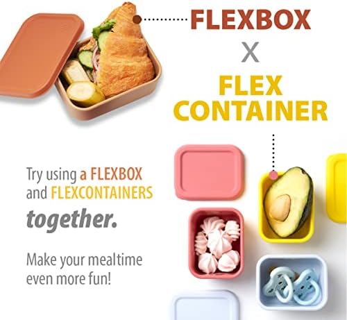 לוסנד-קופסת בנטו שהופכת את המאכלים לטעימים ביותר בשימוש במיקרוגל-מיכל ארוחת צהריים סיליקון פלטינום