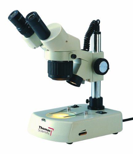 מיקרוסקופ משקפת סטריאו תומאס 1100200800161 ט עם מעמד הלוגן כפול, עינית רחבה פי 10, הגדלה פי 1 + 3,