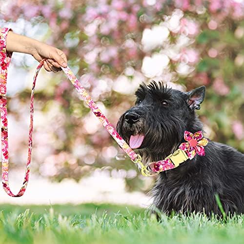 צווארון כלבים ונערה סט ורצועות, צווארון כלבים מתכוונן רך עם אבזם פרחים ובטיחות הניתנים לניתוק, צווארון