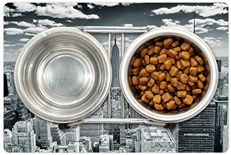 אמבסון ניו יורק לחיות מחמד מחצלת עבור מזון ומים, ניו יורק מעל מנהטן מלמעלה של גורדי שחקים עירוני