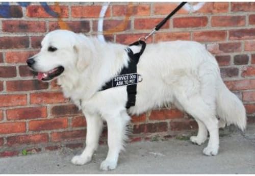DT אוניברסלי ללא רתמת כלבים משיכה, כלב שירות מבקש חיית מחמד, שחור, גדול, מתאים לגודל היקף: 31 אינץ