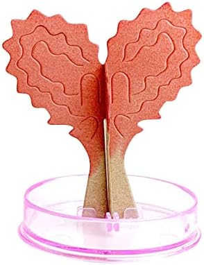 פורח לב פורח 5 מל בצורת צעצוע צבעוני עץ יצירתי נייר יציר