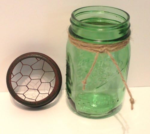 Glory & Grace Green Ball Mason Jar עם מכסה צפרדע פרח חוט עוף ירוק