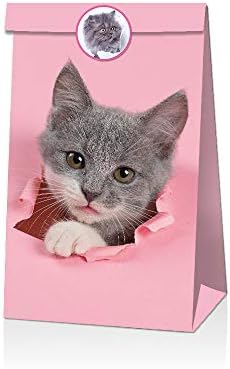 שקיות מתנה לחתול 12 חבילות / שקית נייר למתנות יום הולדת וחג, טובות מסיבה / שקיות טובות בנושא חתלתולים עם ידיות