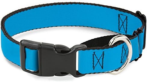 צווארון כלבים של מרטינגה -אבזם - כחול ניאון - רחב 1.5 - מתאים לגודל צוואר 16-23 - בינוני