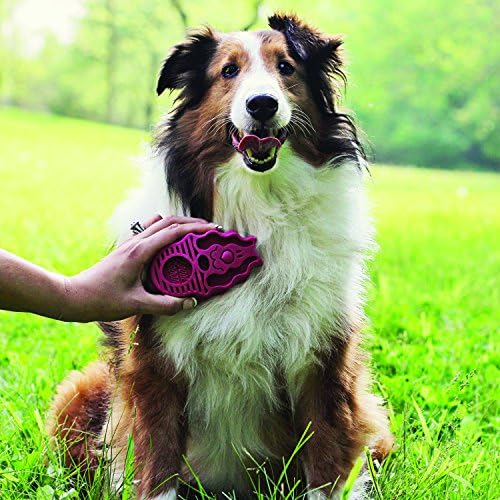 קונג-זומגרום-מברשת כלבים לטיפוח ושמפו-מברשת אדומה לכלבים קטנים וגורים
