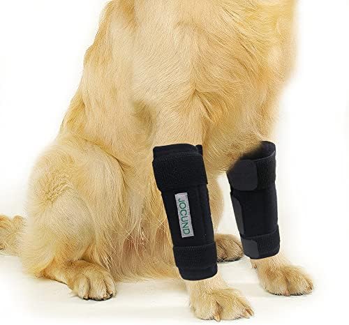 סד רגליים קדמי לכלב ג ' וקונד, זוג סד רגליים לכלבים עם רצועות מתכת, שרוול לעטוף רגל קדמית לכלבים לתמיכה קרפלית,