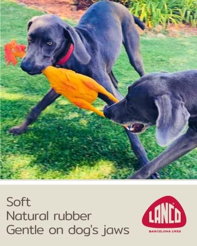צעצועי כלבי עוף גומי גדול במיוחד גומי טבעי ללא עופרת ללא כימיקלים תואמים לאותם סטנדרטים בטיחותיים