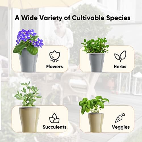סירי צמחים המופלטים - סירי השקיה עצמית לצמחים מקורה - אדניות 5 / 6.7 לצמחים מקורה - חבילה של 6 עציצים