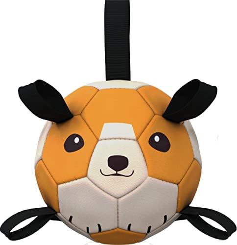 כדור כדורגל אקונגי לכלבים עם כרטיסיות-6 אינץ ' כדור כדורגל עמיד לכלבים בלתי ניתן להריסה-כדור רעייה