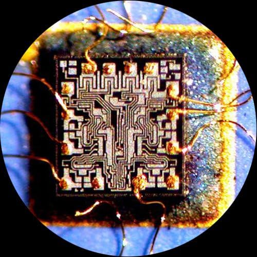 מיקרוסקופ זום סטריאו דו-עיני מקצועי של אמסקופ זם-4בנוב 3, עיניות מיקוד פי 10 ו-20, הגדלה פי 2-180,