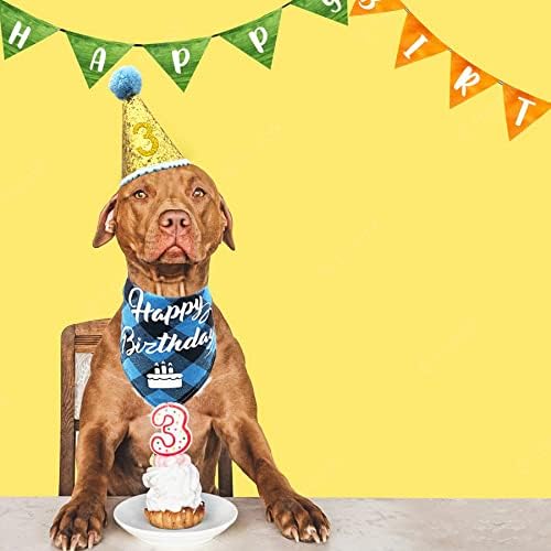 מופע חיות מחמד כובע חרוט כחול ובנדנה הגדרת אספקת מסיבות יום הולדת לילד זכר קטן בינוני כלבים גדולים