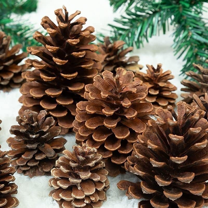 12 יח 'קונוסים אורנים, 3 עד 4 חבילה בתפזורת חג המולד של פינקונים טבעיים לקישוט מסיבת עץ חג המולד