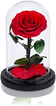 ורדים שהשתמרו בעבודת יד בכיפת זכוכית מתנות ליום האהבה עבורה, ורדים אמיתיים צהובים שנמשכים יותר משנה, ורדים זכוכית