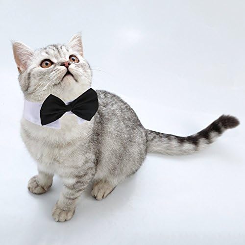 3 חתיכות מתכוונן חיות מחמד כלב חתול עניבת פרפר לחיות מחמד תלבושות עניבה צווארון לכלבים קטנים