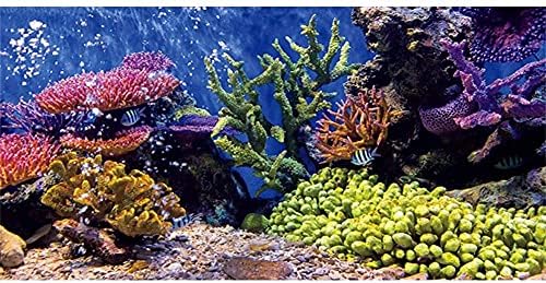 Awert Vinyl Aquarium Decor רקע אלמוגים דגים טרופיים דגים מתחת למים רקע דגים 36x20 אינץ '