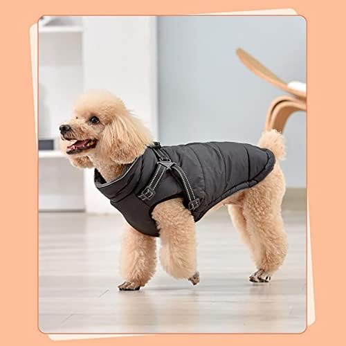 בגדי חיות מחמד לכלבים בינוניים בגדי כלבים בגדים כותנה סתיו וחורף חורף כותנה בריטית טדי ז'קט חם