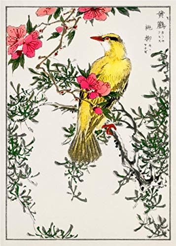 יפני בוטני ציפור הדפסי על ידי דיו בע מ / אסיה קיר אמנות / פרחוני קיר תפאורה / סט של 9 5 * 7