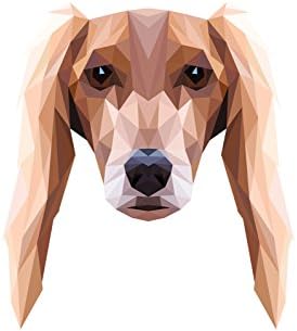 סלוקי, לוח קרמיקה מצבה עם תמונה של כלב, גיאומטרי
