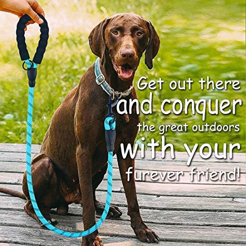 DOYOO 2 חבילה רצועת כלבים 5/6 רגל חבל ניילון עמידה בעבה - ידית מרופדת נוחה רצועת כלב חבל רפלקטיבית