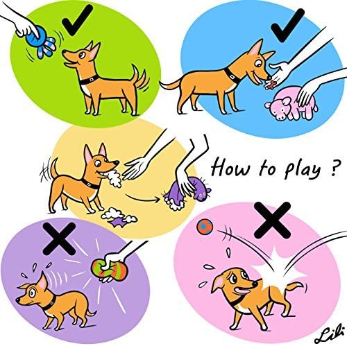Chiwava 3 חבילה 2.6 אינץ 'חריקת טקס כלב חיות צעצוע פנים פנים חמודות משחק אינטראקטיבי לכלבים קטנים צבע מגוון