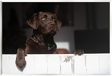 תעשיות סטופל כלב לברדור המשקיף על דלת אסם נשענת חווה אמנות קיר מעץ, עיצוב מאת ג ' יימס דובסון